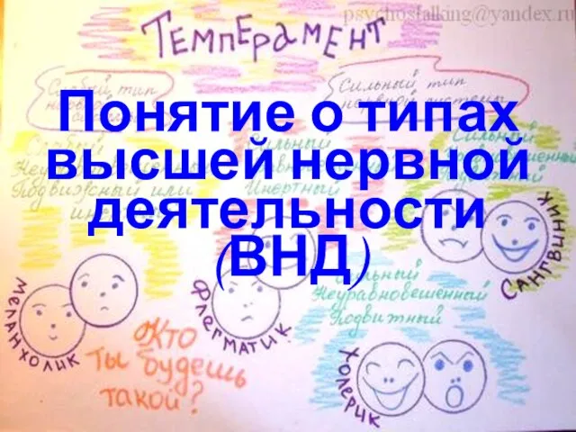 Понятие о типах высшей нервной деятельности (ВНД)