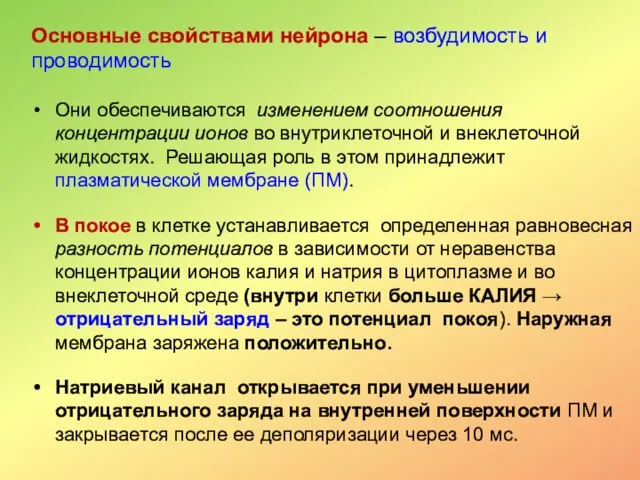 Основные свойствами нейрона – возбудимость и проводимость Они обеспечиваются изменением соотношения концентрации