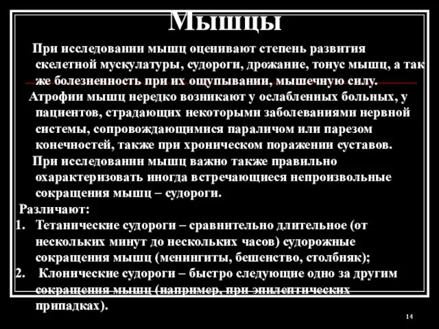 Мышцы При исследовании мышц оценивают степень развития скелетной мускулатуры, судороги, дрожание, тонус