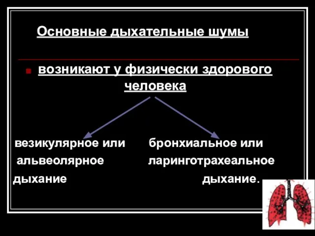 Основные дыхательные шумы возникают у физически здорового человека везикулярное или бронхиальное или альвеолярное ларинготрахеальное дыхание дыхание.