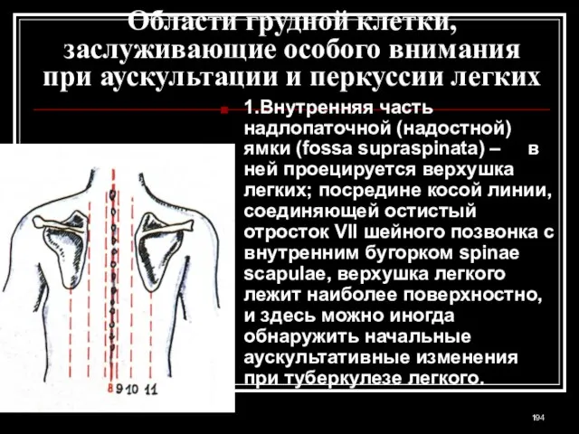 Области грудной клетки, заслуживающие особого внимания при аускультации и перкуссии легких 1.Внутренняя