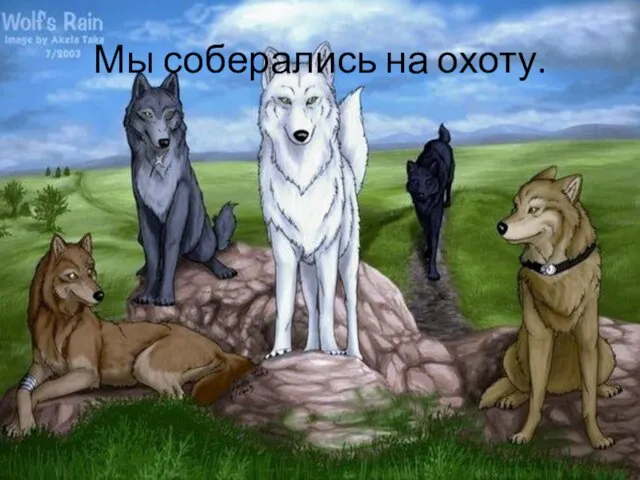 Мы соберались на охоту.