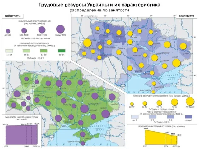 Трудовые ресурсы Украины и их характеристика распределение по занятости