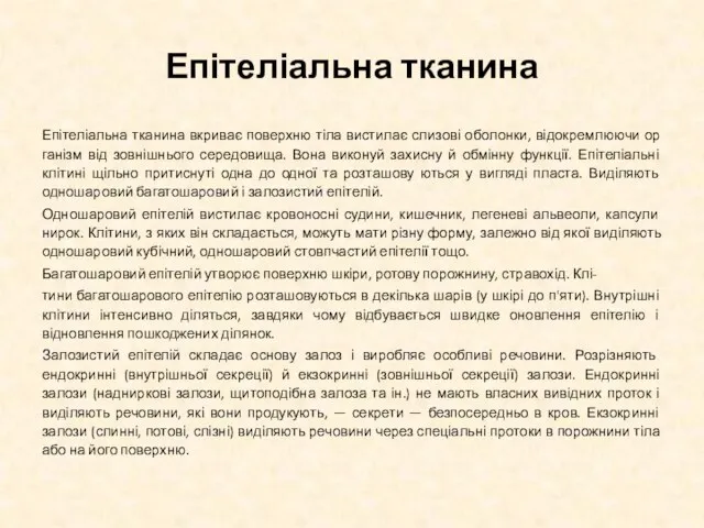 Епітеліальна тканина Епітеліальна тканина вкриває поверхню тіла вистилає слизові оболонки, відокремлюючи ор