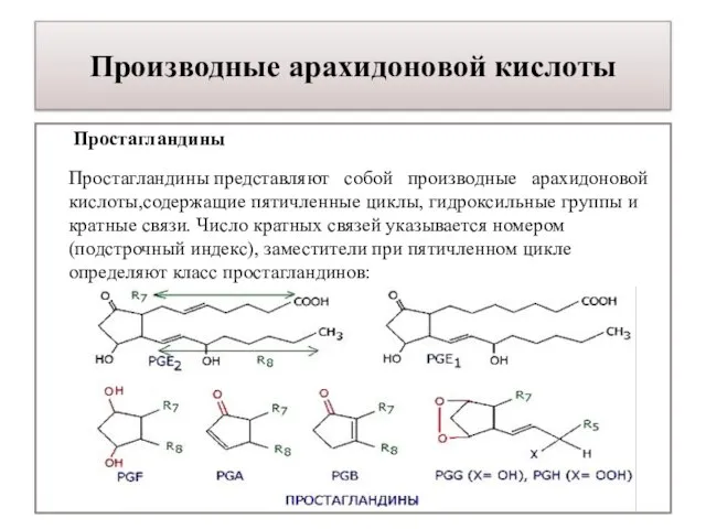Производные арахидоновой кислоты Простагландины Простагландины представляют собой производные арахидоновой кислоты,содержащие пятичленные циклы,