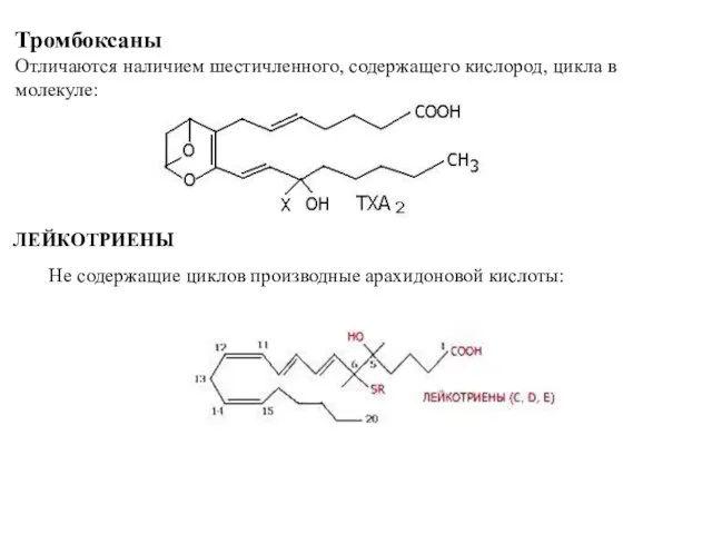 Тромбоксаны Отличаются наличием шестичленного, содержащего кислород, цикла в молекуле: ЛЕЙКОТРИЕНЫ Не содержащие циклов производные арахидоновой кислоты: