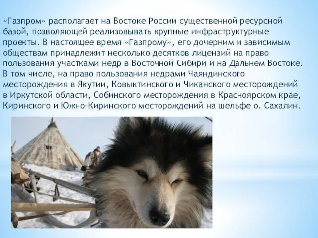 «Газпром» располагает на Востоке России существенной ресурсной базой, позволяющей реализовывать крупные инфраструктурные