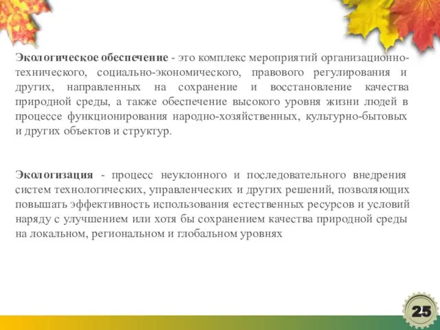 Экологическое обеспечение - это комплекс мероприятий организационно-технического, социально-экономического, правового регулирования и других,