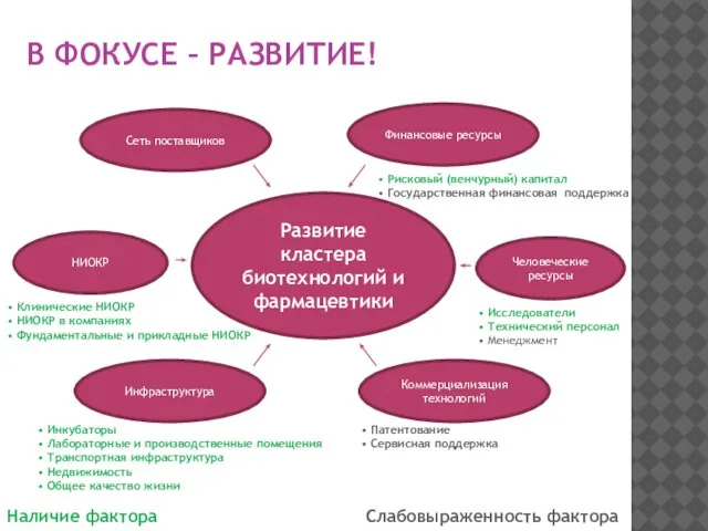 Развитие кластера биотехнологий и фармацевтики Финансовые ресурсы Человеческие ресурсы НИОКР Коммерциализация технологий