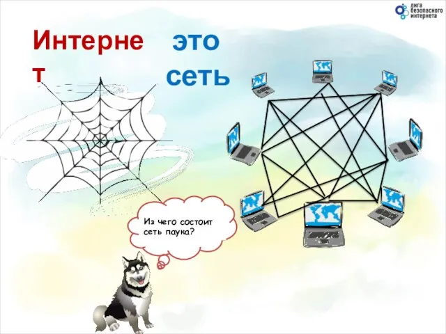 Интернет это сеть Что это? Из чего состоит сеть паука?