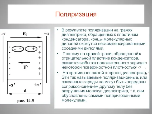 Поляризация В результате поляризации на гранях диэлектрика, обращенных к пластинам конденсатора, концы