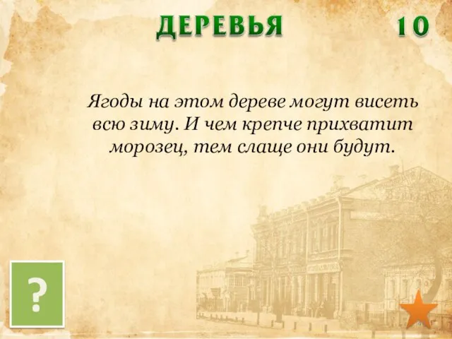 Ягоды на этом дереве могут висеть всю зиму. И чем крепче прихватит