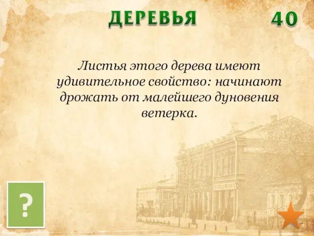 Листья этого дерева имеют удивительное свойство: начинают дрожать от малейшего дуновения ветерка. ?