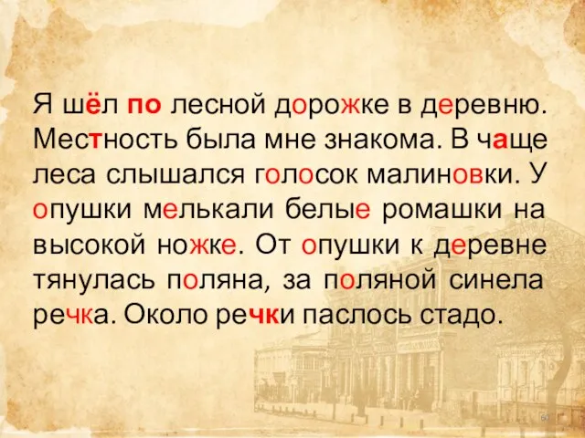 Я шёл по лесной дорожке в деревню. Местность была мне знакома. В