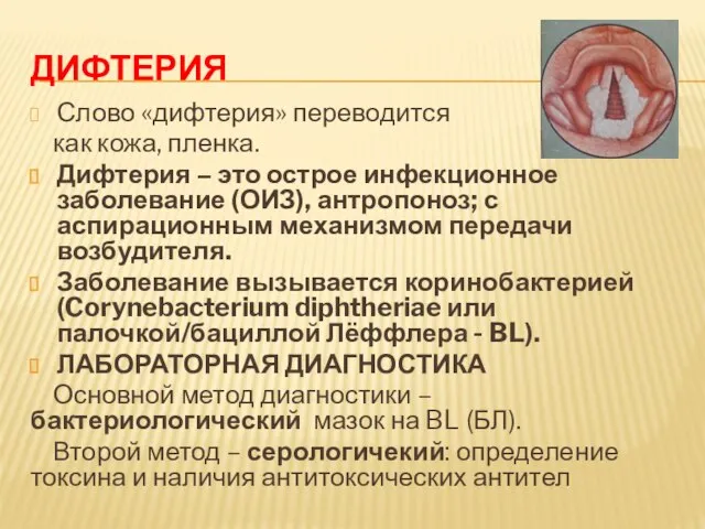 ДИФТЕРИЯ Слово «дифтерия» переводится как кожа, пленка. Дифтерия – это острое инфекционное