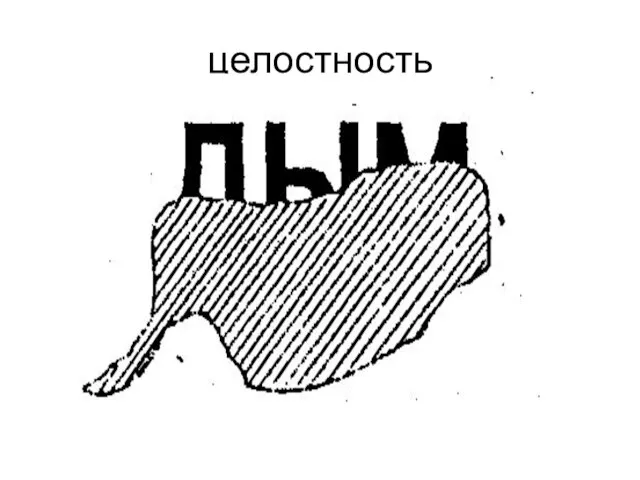 целостность