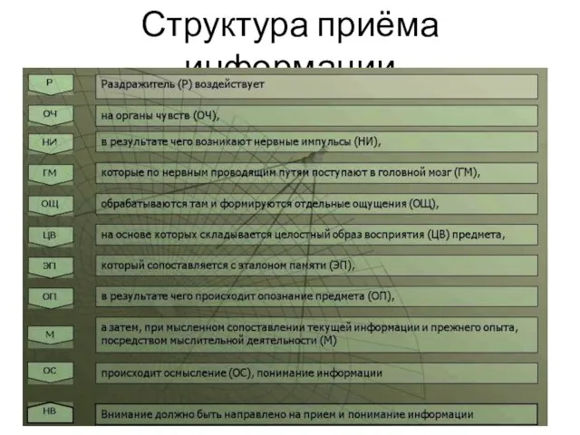 Структура приёма информации