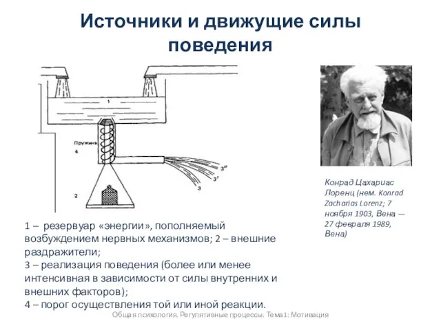 Источники и движущие силы поведения Общая психология. Регулятивные процессы. Тема1: Мотивация Конрад