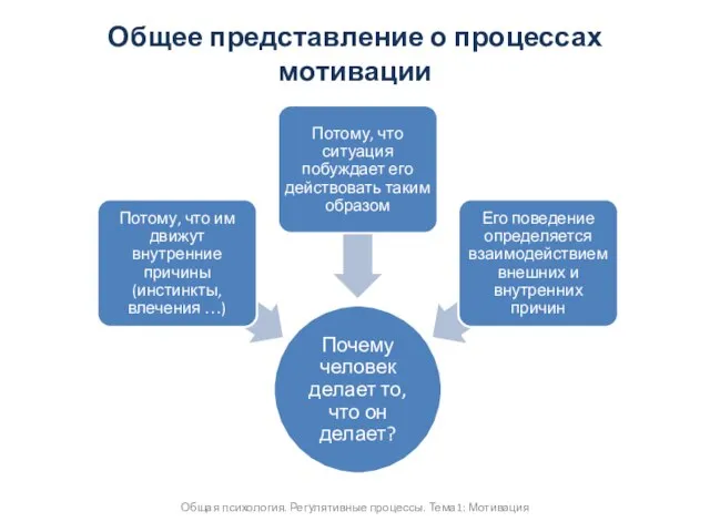 Общее представление о процессах мотивации Общая психология. Регулятивные процессы. Тема1: Мотивация