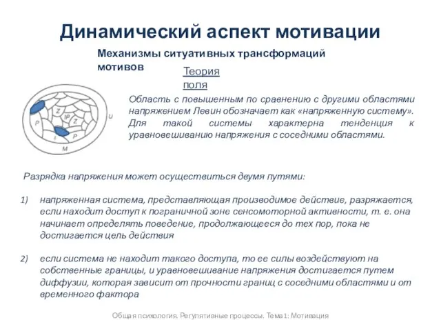 Общая психология. Регулятивные процессы. Тема1: Мотивация Динамический аспект мотивации Механизмы ситуативных трансформаций