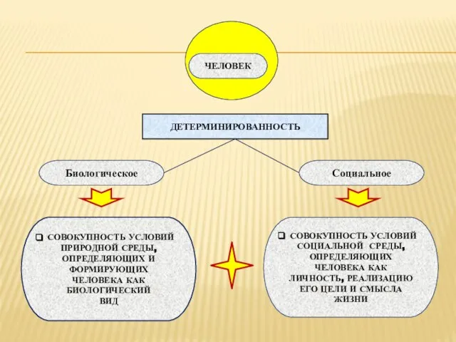 ЧЕЛОВЕК ДЕТЕРМИНИРОВАННОСТЬ СОВОКУПНОСТЬ УСЛОВИЙ ПРИРОДНОЙ СРЕДЫ, ОПРЕДЕЛЯЮЩИХ И ФОРМИРУЮЩИХ ЧЕЛОВЕКА КАК БИОЛОГИЧЕСКИЙ