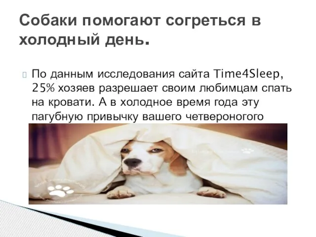 По данным исследования сайта Time4Sleep, 25% хозяев разрешает своим любимцам спать на