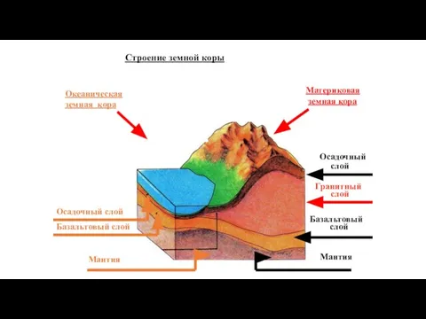 Строение земной коры Океаническая земная кора Материковая земная кора Осадочный слой Базальтовый