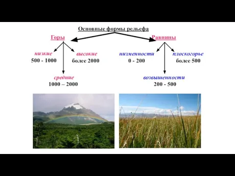Основные формы рельефа Горы Равнины низкие средние высокие низменности возвышенности плоскогорье 500