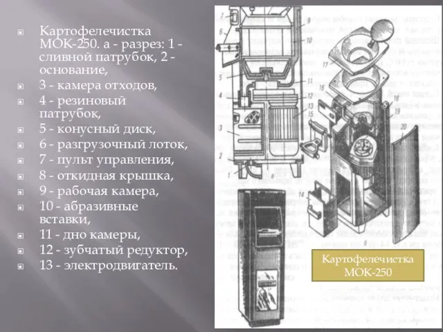 Картофелечистка МОК-250. а - разрез: 1 - сливной патрубок, 2 - основание,