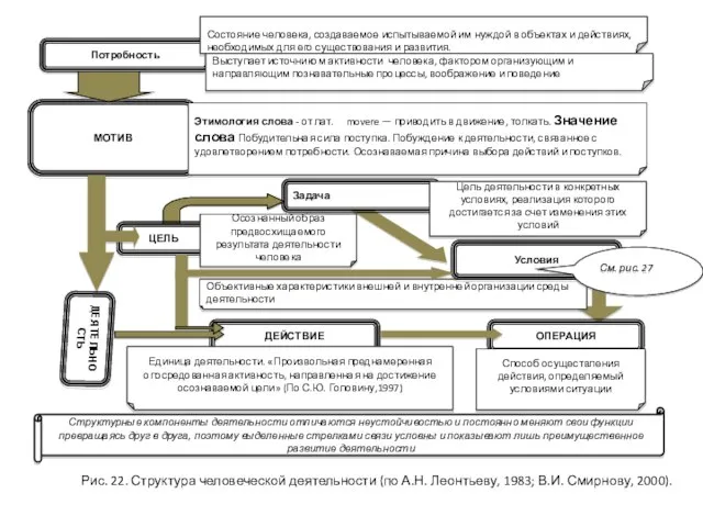 Рис. 22. Структура человеческой деятельности (по А.Н. Леонтьеву, 1983; В.И. Смирнову, 2000).