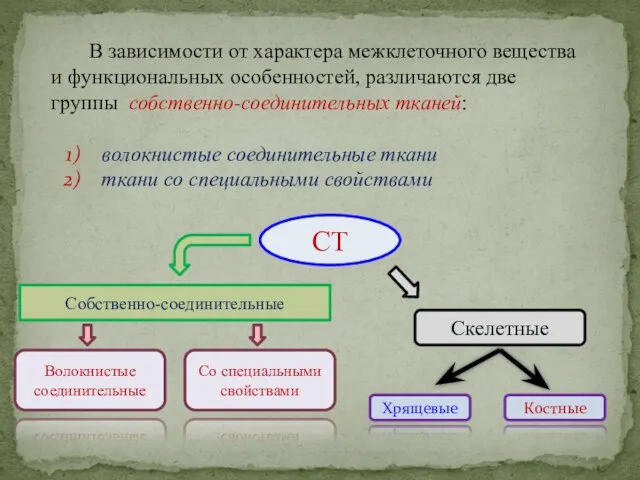 В зависимости от характера межклеточного вещества и функциональных особенностей, различаются две группы