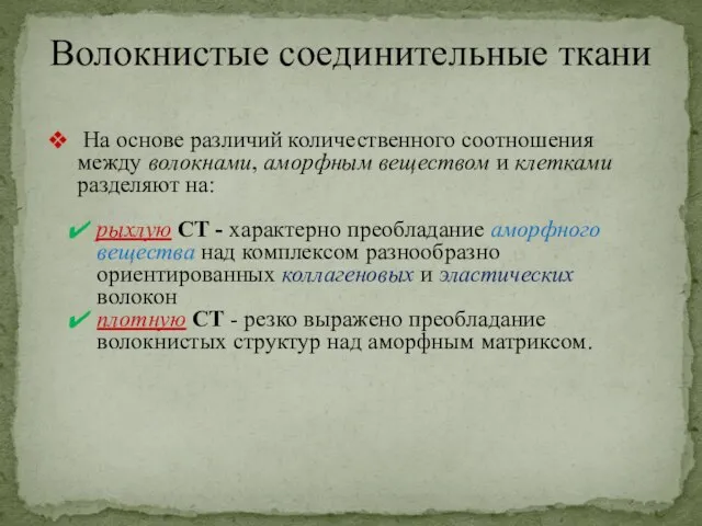 Волокнистые соединительные ткани На основе различий количественного соотношения между волокнами, аморфным веществом