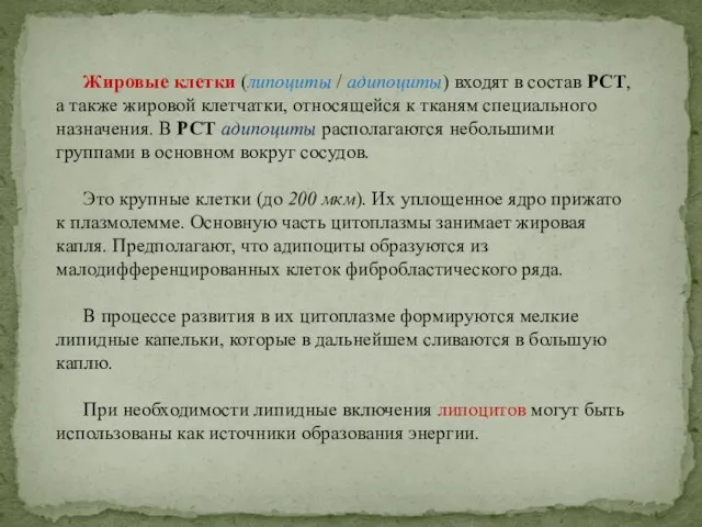 Жировые клетки (липоциты / адипоциты) входят в состав РСТ, а также жировой