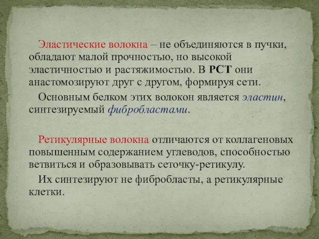 Эластические волокна – не объединяются в пучки, обладают малой прочностью, но высокой