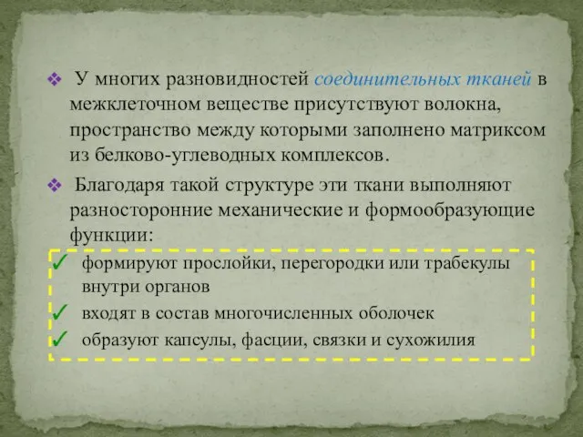 У многих разновидностей соединительных тканей в межклеточном веществе присутствуют волокна, пространство между