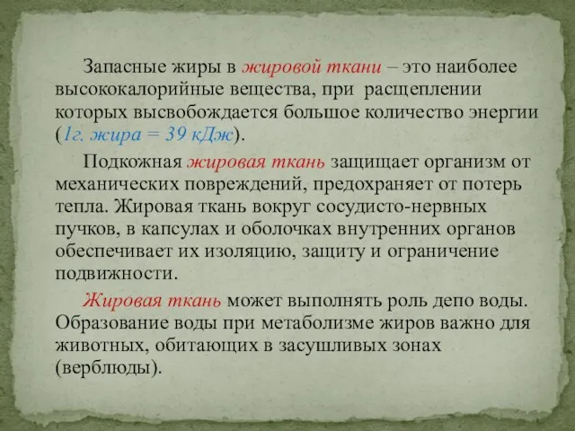 Запасные жиры в жировой ткани – это наиболее высококалорийные вещества, при расщеплении