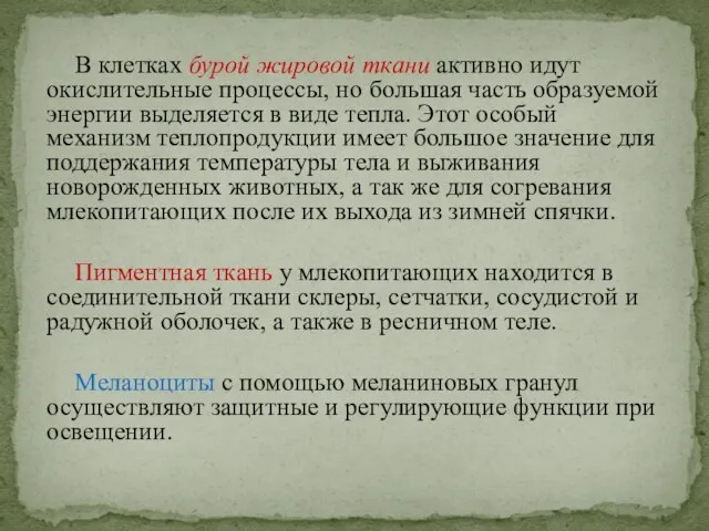 В клетках бурой жировой ткани активно идут окислительные процессы, но большая часть