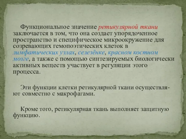 Функциональное значение ретикулярной ткани заключается в том, что она создает упорядоченное пространство