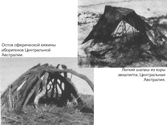 Легкий шалаш из коры эвкалипта. Центральная Австралия. Остов сферической хижины аборигенов Центральной Австралии.