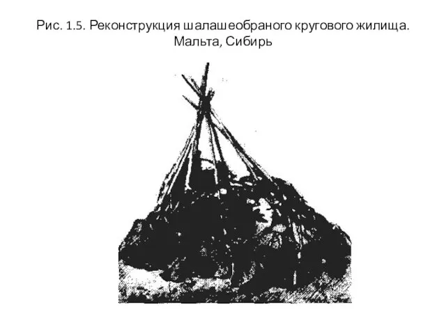 Рис. 1.5. Реконструкция шалашеобраного кругового жилища. Мальта, Сибирь