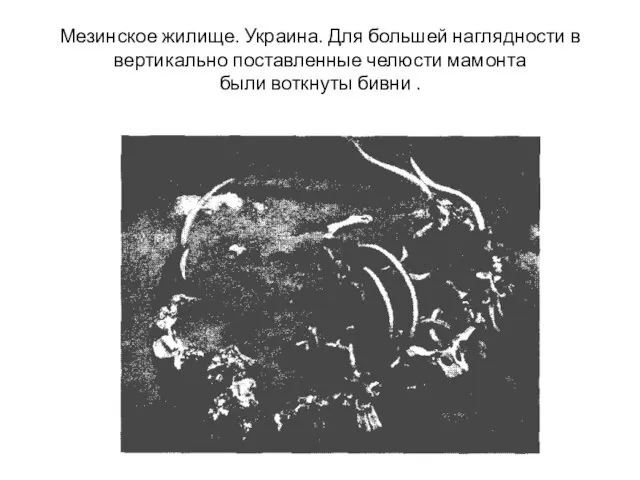 Мезинское жилище. Украина. Для большей наглядности в вертикально поставленные челюсти мамонта были воткнуты бивни .