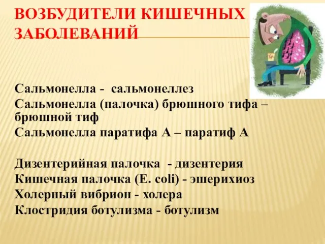 ВОЗБУДИТЕЛИ КИШЕЧНЫХ ЗАБОЛЕВАНИЙ Сальмонелла - сальмонеллез Сальмонелла (палочка) брюшного тифа – брюшной