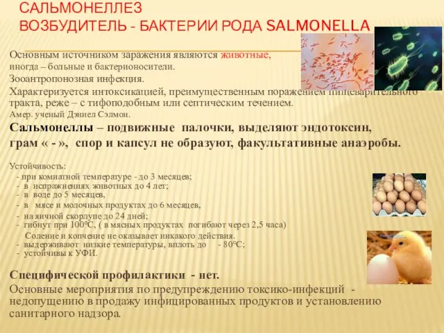 САЛЬМОНЕЛЛЕЗ ВОЗБУДИТЕЛЬ - БАКТЕРИИ РОДА SALMONELLA Основным источником заражения являются животные, иногда