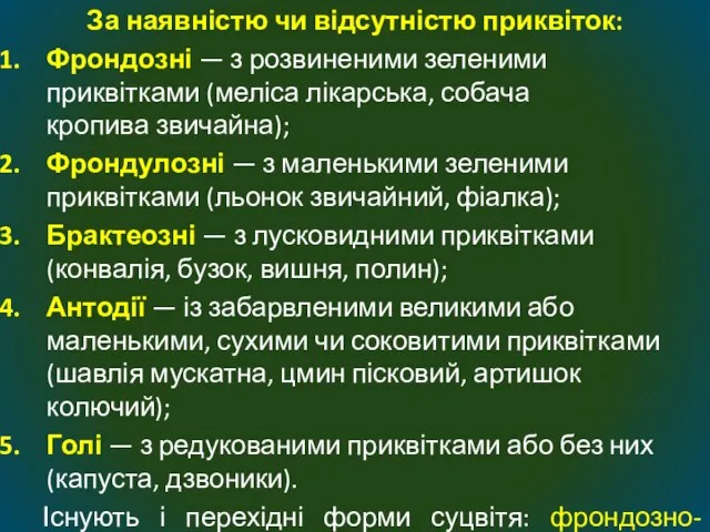 За наявністю чи відсутністю приквіток: Фрондозні — з розвиненими зеленими приквітками (меліса