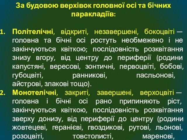 За будовою верхівок головної осі та бічних паракладіїв: Політелічні, відкриті, незавершені, бокоцвіті