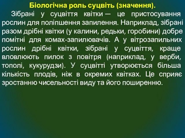 Біологічна роль суцвіть (значення). Зібрані у суцвіття квітки — це пристосування рослин