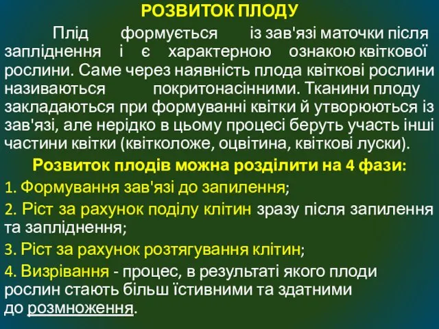 РОЗВИТОК ПЛОДУ Плід формується із зав'язі маточки після запліднення і є характерною