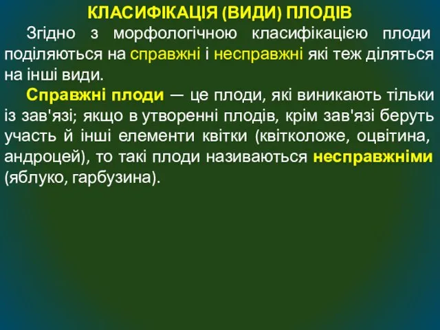 КЛАСИФІКАЦІЯ (ВИДИ) ПЛОДІВ Згідно з морфологічною класифікацією плоди поділяються на справжні і