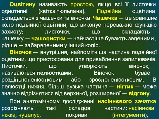 Оцвітину називають простою, якщо всі її листочки однотипні (квітка тюльпана). Подвійна оцвітина