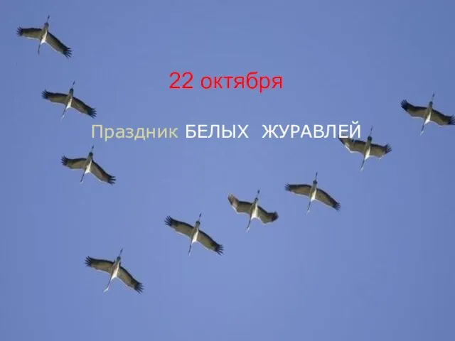 22 октября Праздник БЕЛЫХ ЖУРАВЛЕЙ